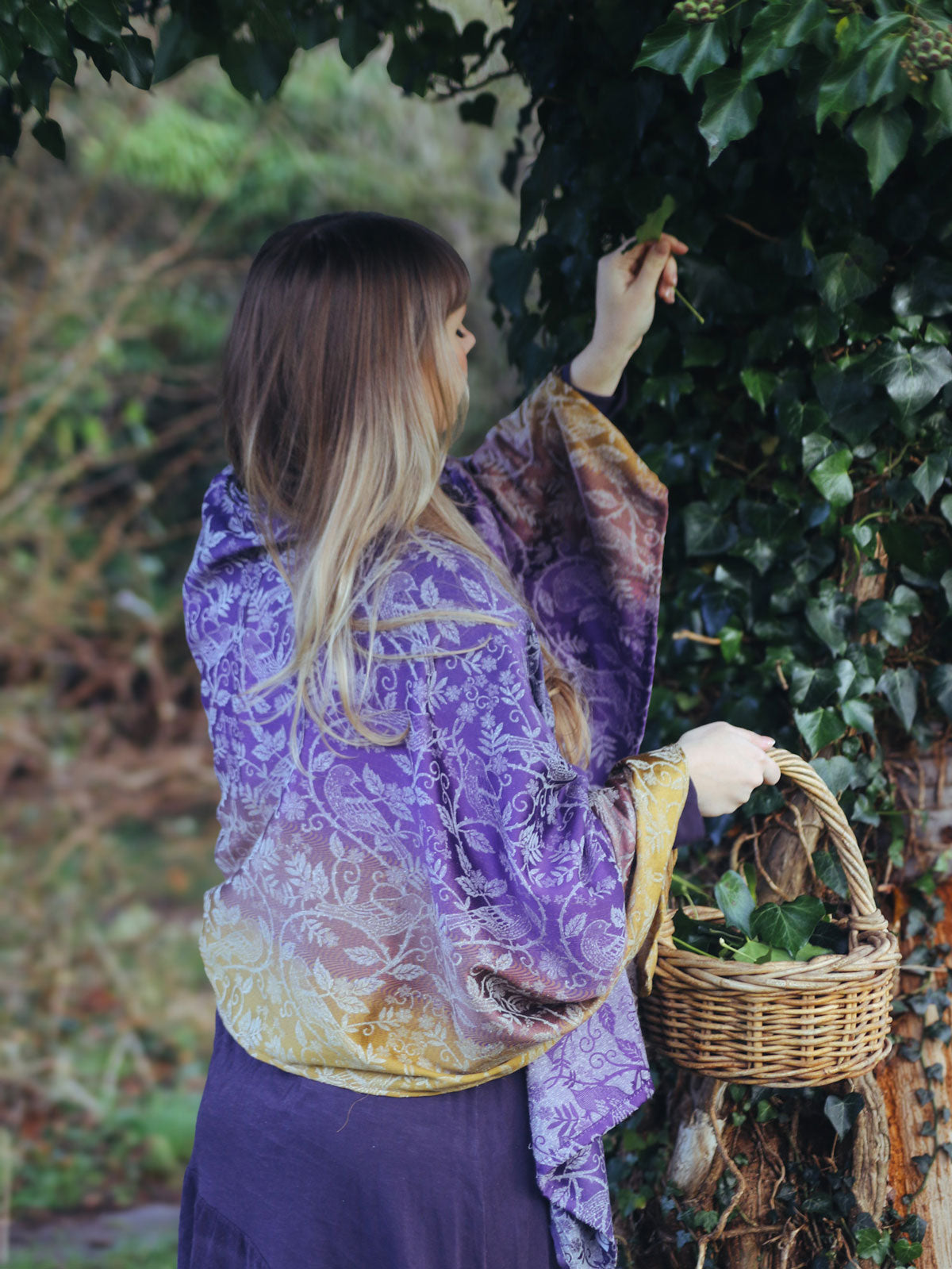 Briarwood Royalet Scarf