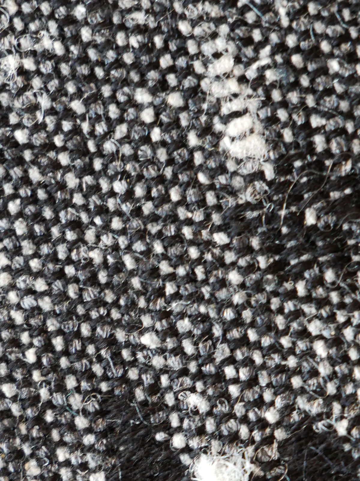 Briarwood Hatchling Fabric Pieces