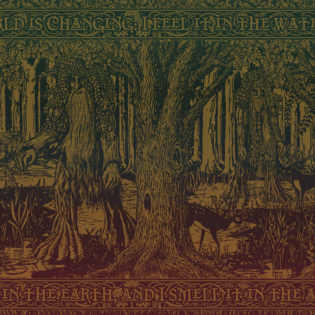 Treebeard Shepherd of the Forest